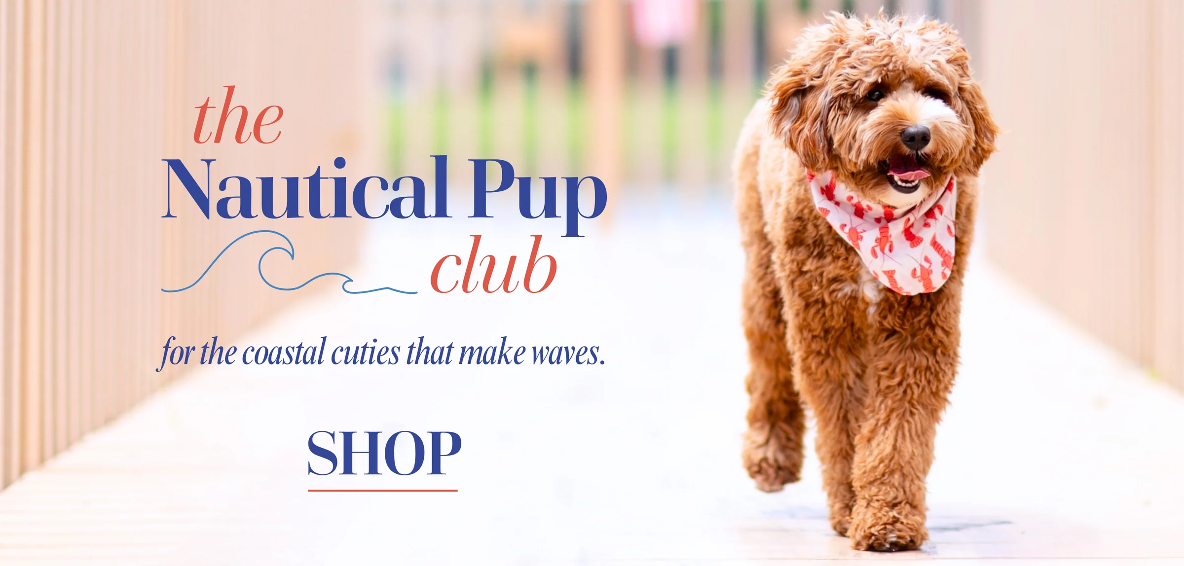 Elevated Style for Modern Pets