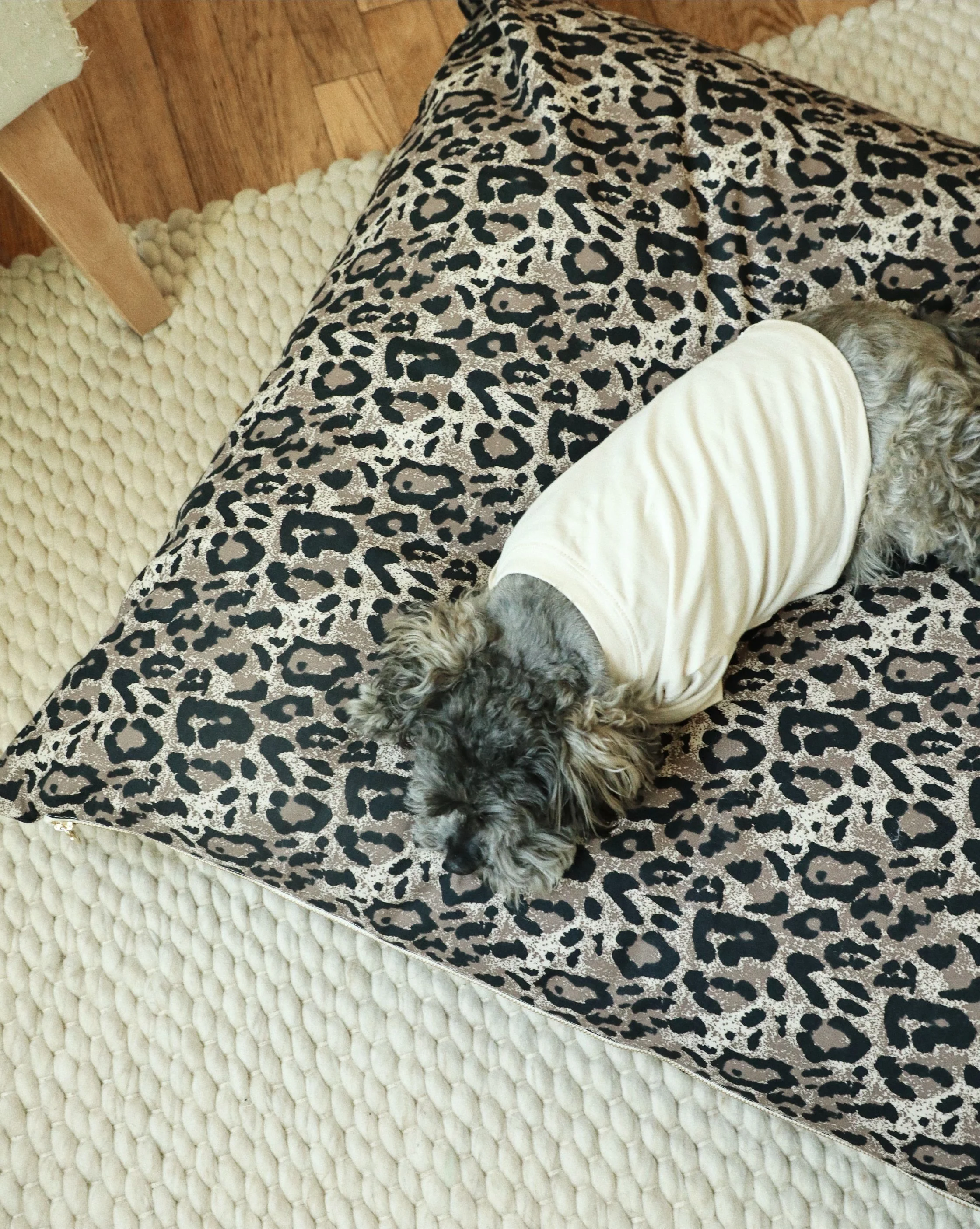 Designer Dog Clothing Brands & Best Dog Clothes
